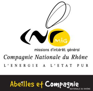 cnr_logo